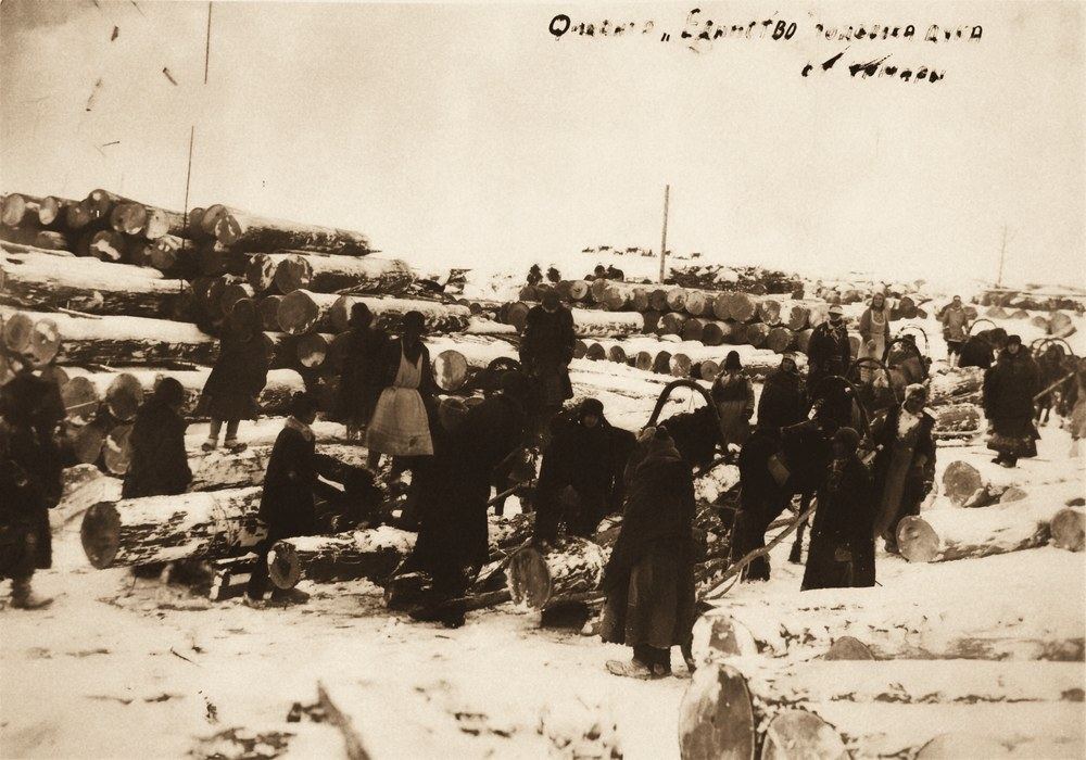 Подвозка дуба на фабрику «Единство», 1931 год